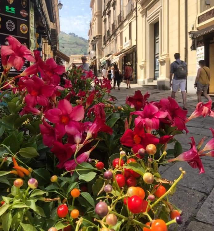 Casetta Pinetamare Tropea Bagian luar foto